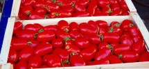 127- Sonnengereifte Tomaten auf dem Markt