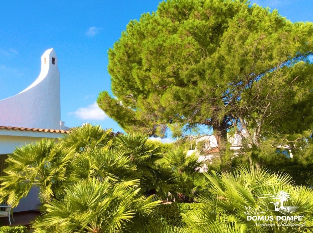 Premium Mediterranean Villa In Ostuni Br Domus Dompe