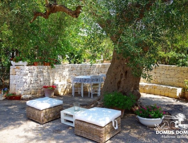 1 - Masseria Sole del Salento schöner Außenbereich unter dem Olivenbaum