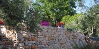 Trockensteinmauern typisch für Apulien